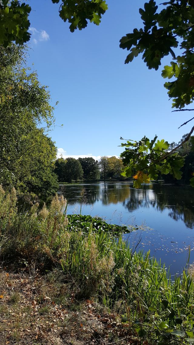 Nostell